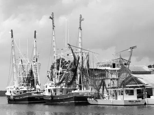 Sneads Ferry: How a River Crossing Became the Shrimp Capital of the World